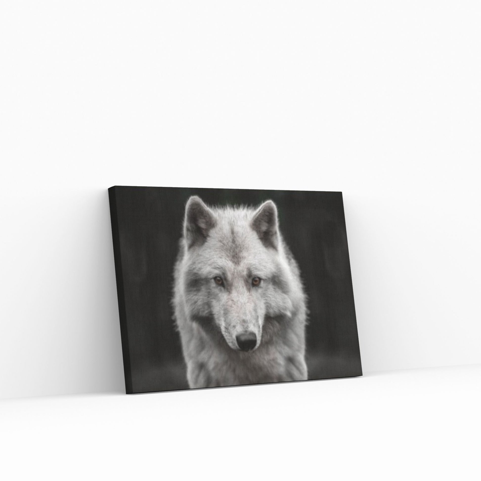 Grey Wolf Canvas Art Wolf Wall Art, Grey Wolf Canvas Animal Wall Decor - Y Canvas