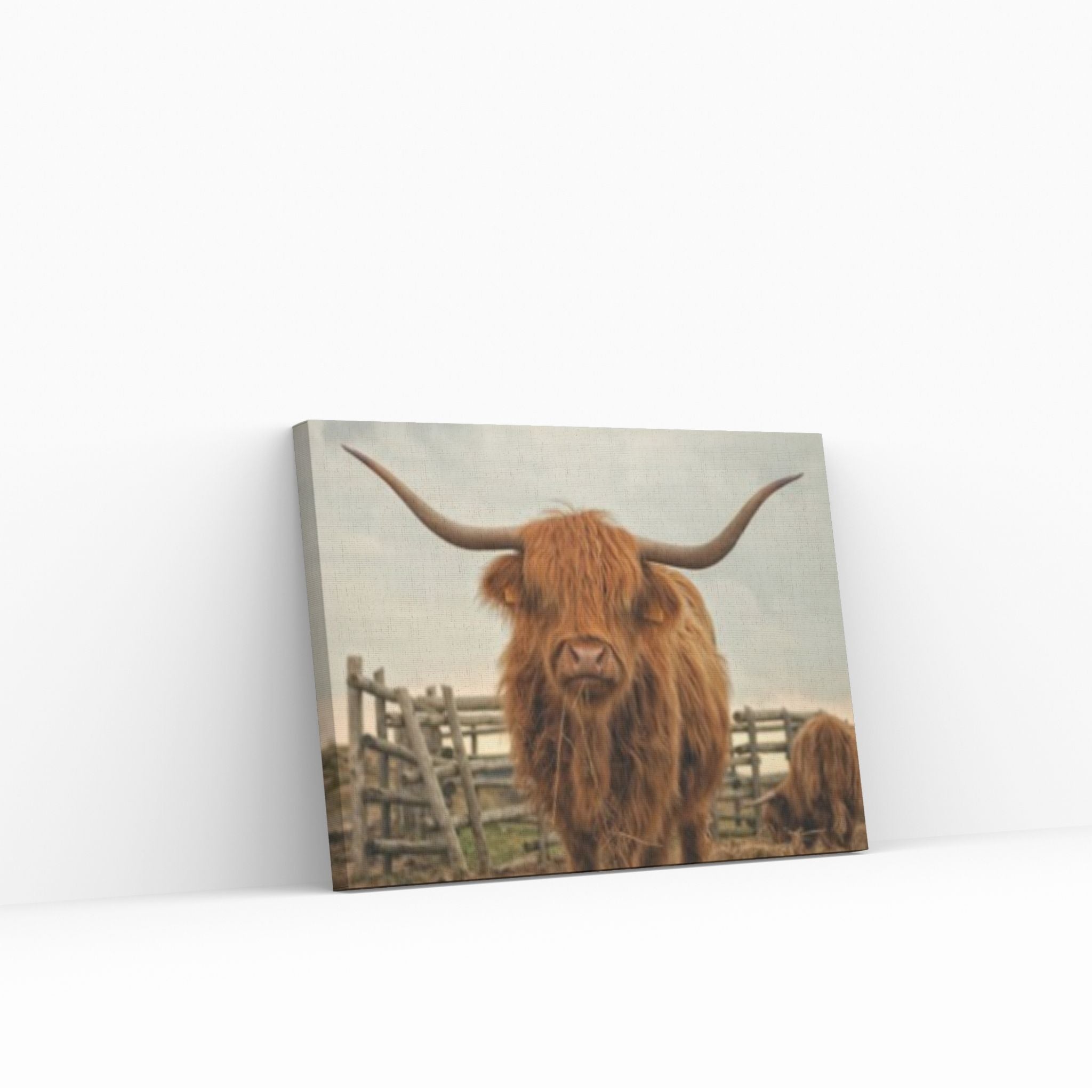 Highland Cow Wall Art | Highland Cow Animal Canvas Wall Art - Y Canvas