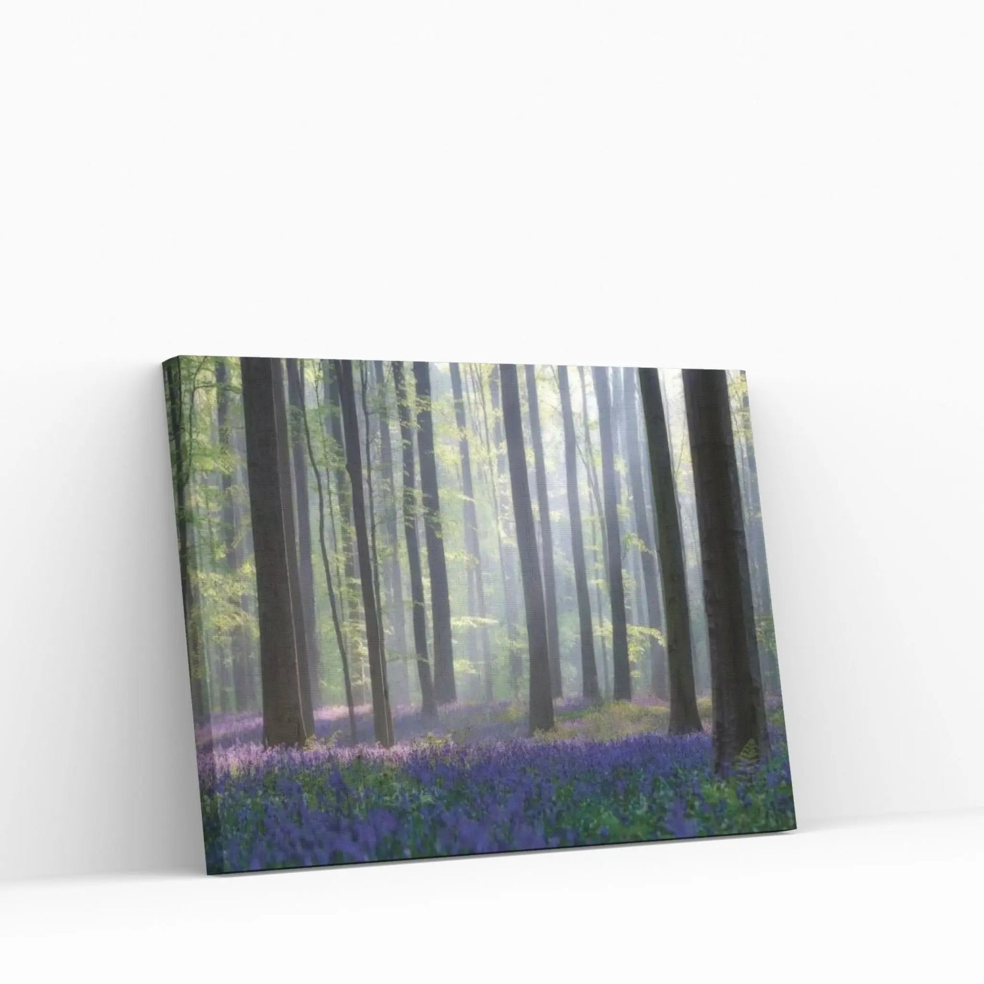 Bluebells Canvas Wall Art - Y Canvas