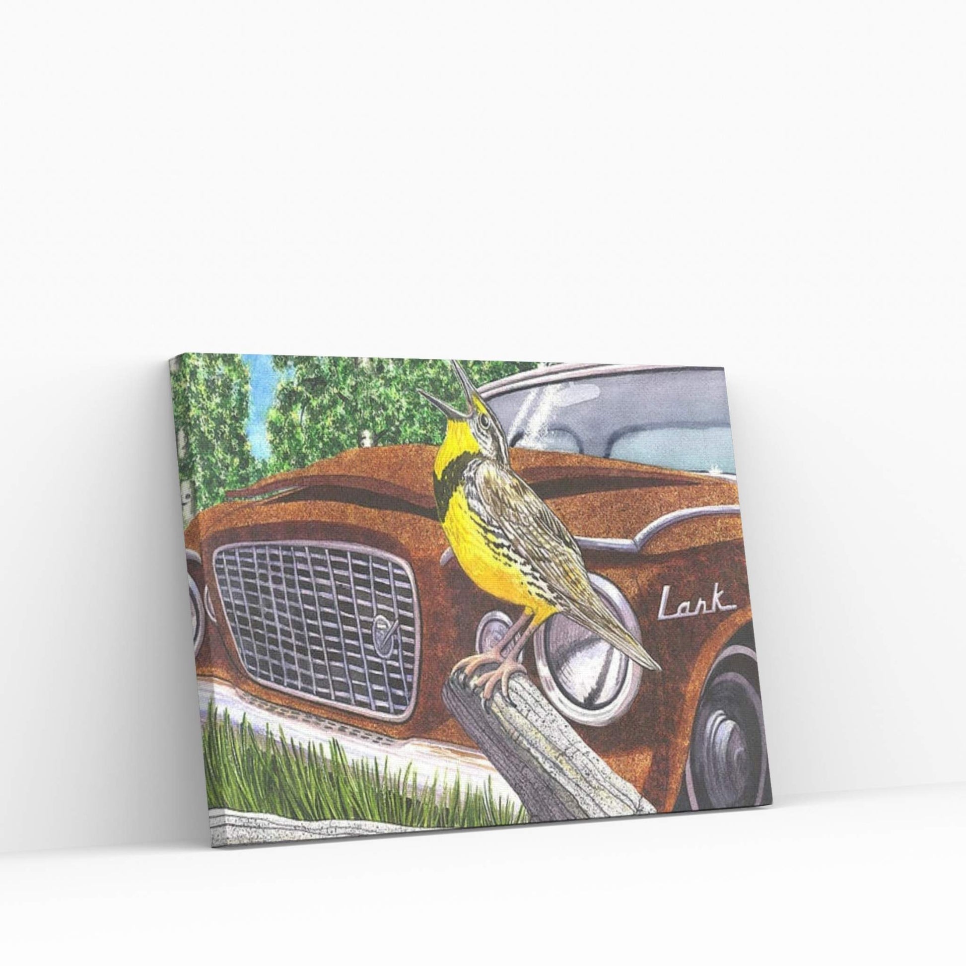 The Meadowlarks Canvas Wall Art - Y Canvas