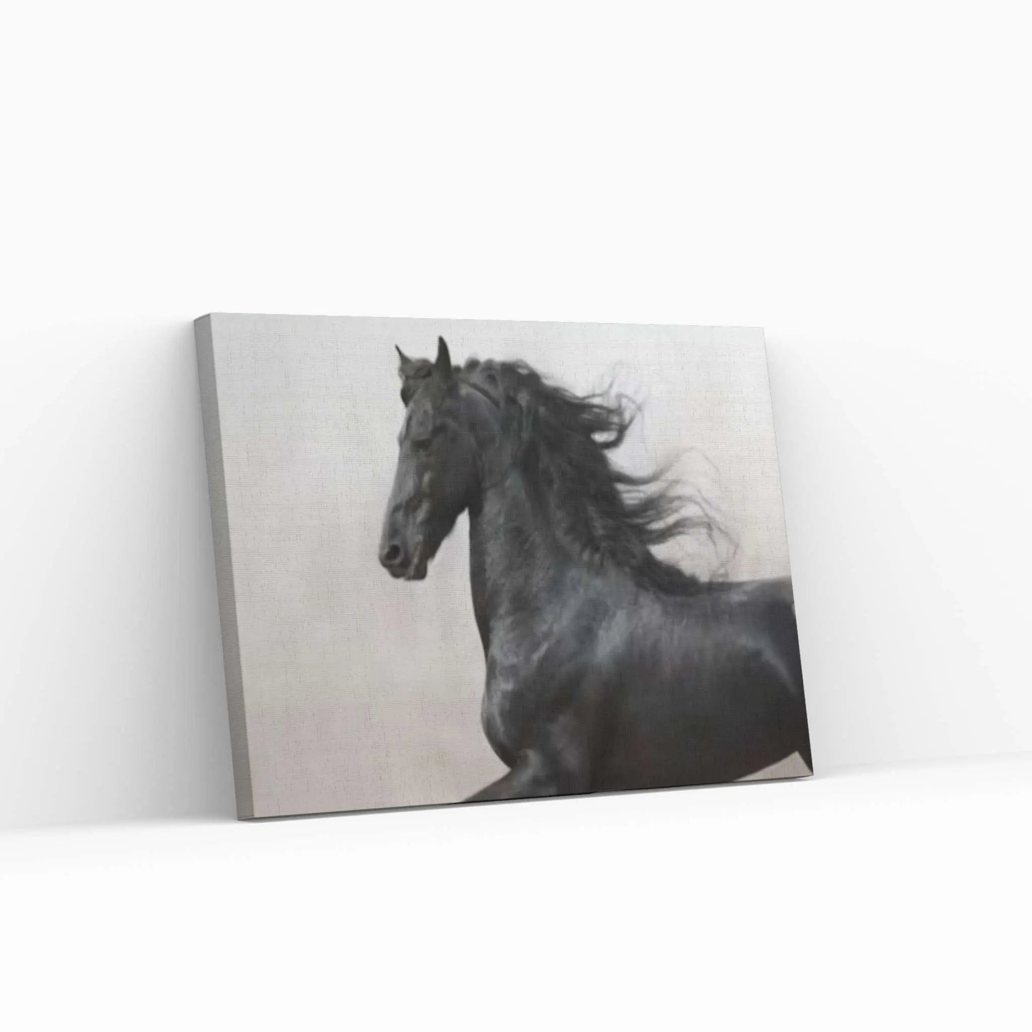 Large Black Horse Print Poster Canvas Art Animal Art Horse Wall Art Horse Wall Decor - Y Canvas