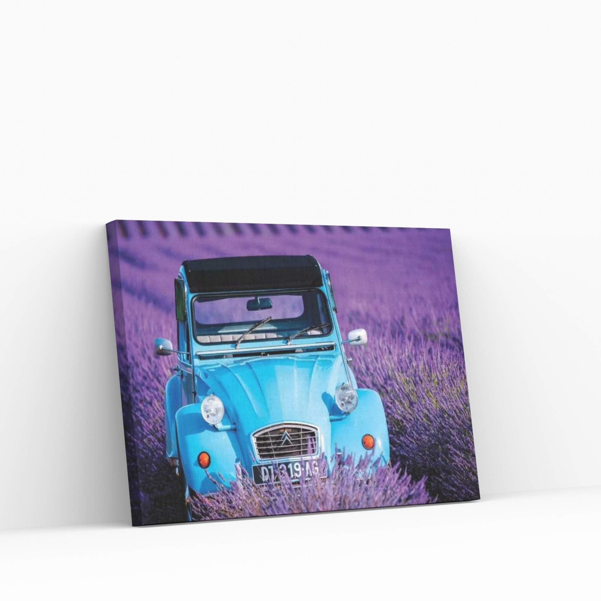 Citroen Lavender Field Canvas Wall Art - Y Canvas