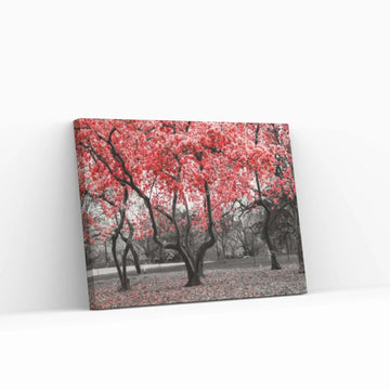 Landscape Contrast Tree Scenery Red Tree Wall Art - Y Canvas