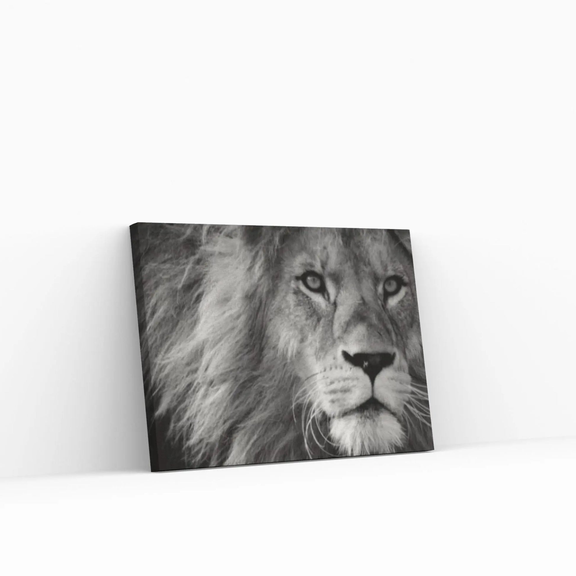 Lion Canvas Wall Art Animal Wall Art, Canvas Wall Art, Animal wall art decor Large lion art - Y Canvas