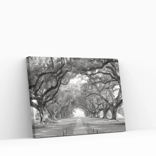 Brick Path Through Alley Of Oak Trees, Louisiana, New Orleans, USA (Black And White) I Canvas Wall Art - Y Canvas