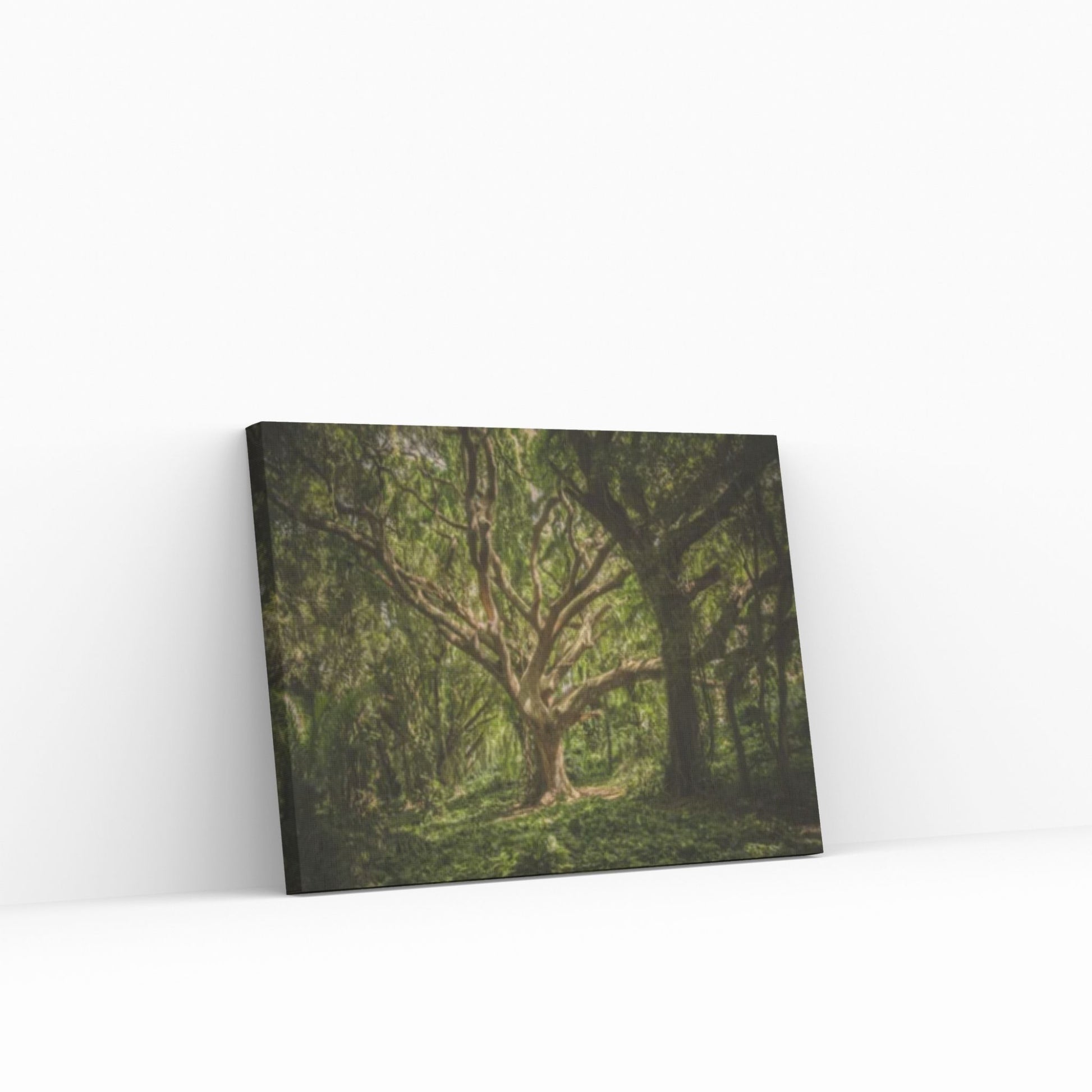 Forest Wall Art, Forest Canvas, Landscape Wall Art, Landscape Canvas, Forest Wall Decor, Tree Wall Art - Y Canvas