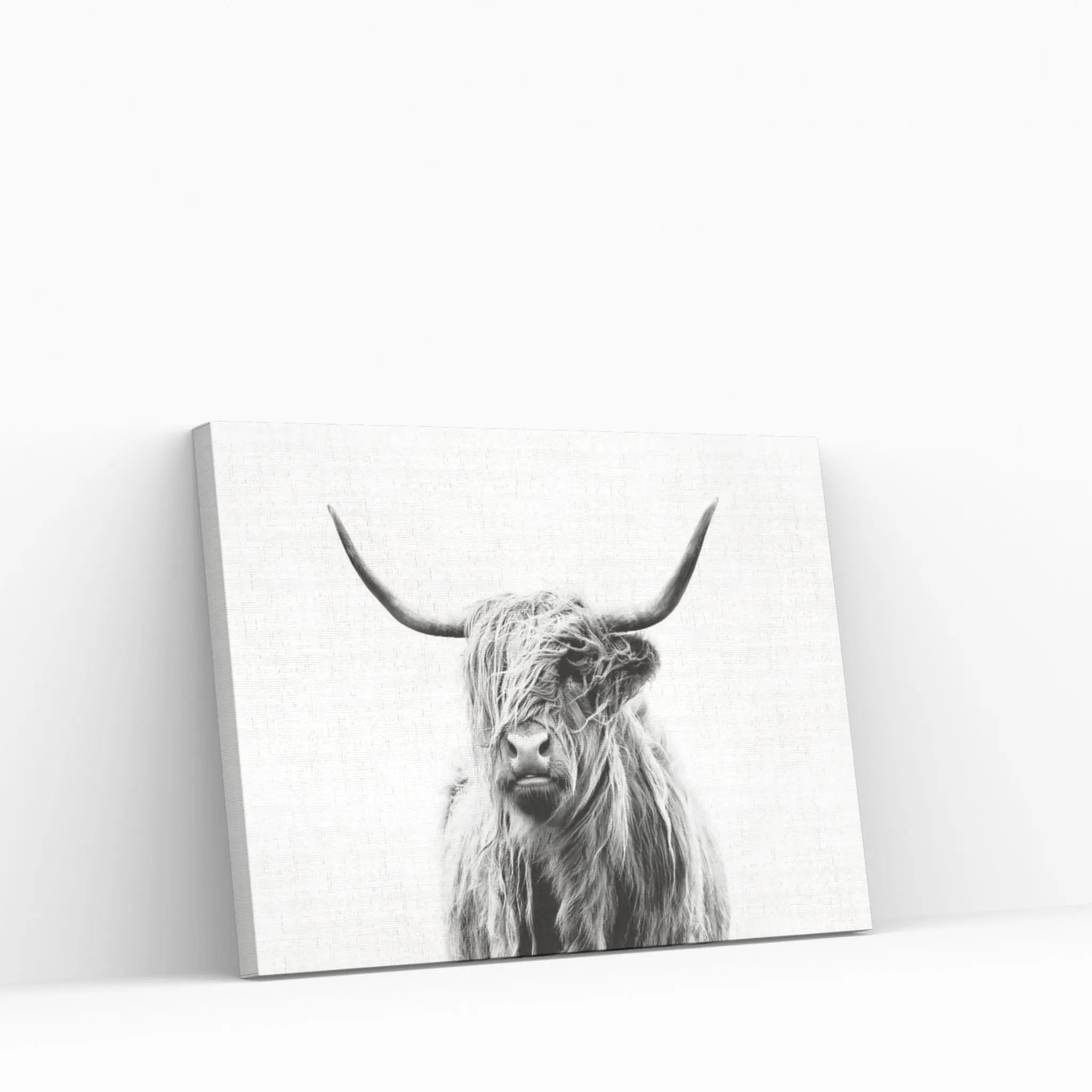 Portrait Of A Highland Cow Canvas Wall Art - Y Canvas