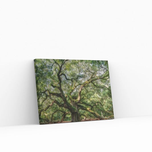 Large Angel Oak Tree South Carolina Canvas Wall Art, Canvas Wall Se Print on Canvas Wall Art - Y Canvas