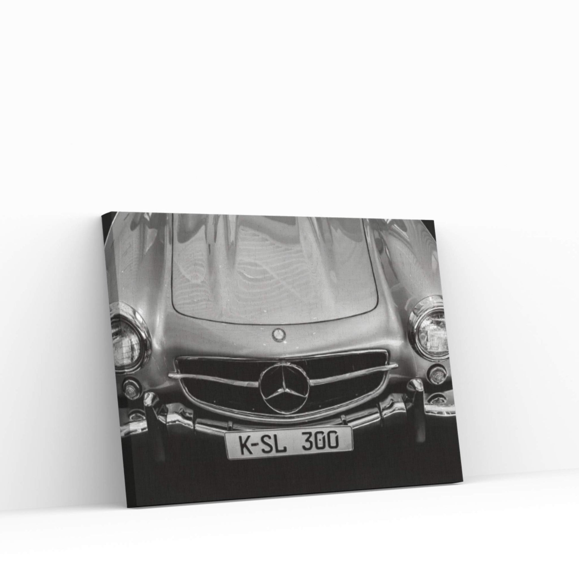 Car Lovers V Canvas Wall Art - Y Canvas