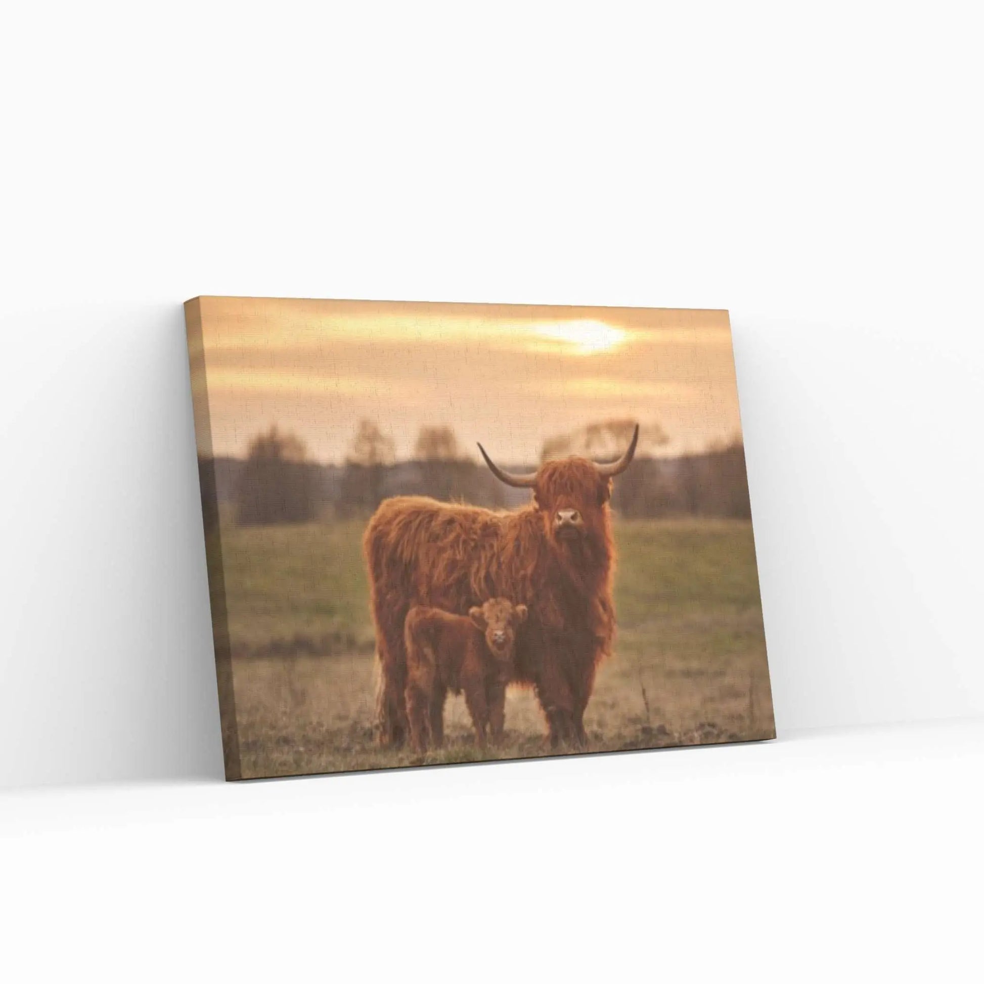 Baby Scottish Highland Cow Canvas Wall Art Design Animal Poster - Y Canvas