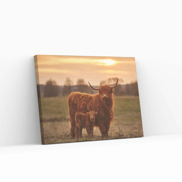 Baby Scottish Highland Cow Canvas Wall Art Design Animal Poster - Y Canvas