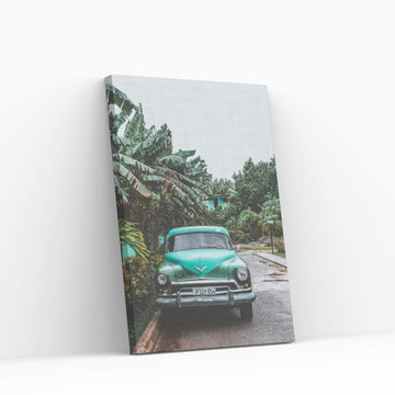 Viñales, Cuba Canvas Wall Art - Y Canvas