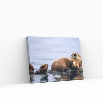 Baby Sea otter save from being wet Canvas Wall Art Design - Y Canvas