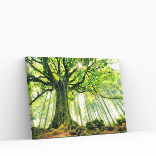 Ponthus' Beech Canvas Wall Art - Y Canvas