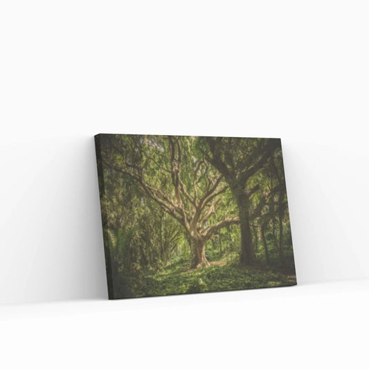 Forest Wall Art, Forest Canvas, Landscape Wall Art, Landscape Canvas, Forest Wall Decor - Y Canvas