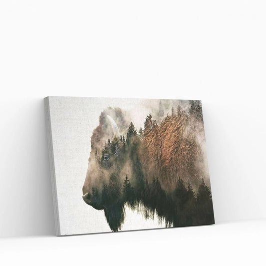 Bison Canvas Wall Art - Y Canvas