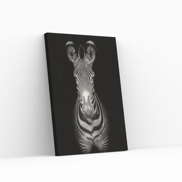 Abstract Animal Zebra Poster Creative Animal Modeling Wall Art, Entrance Decoration - Y Canvas