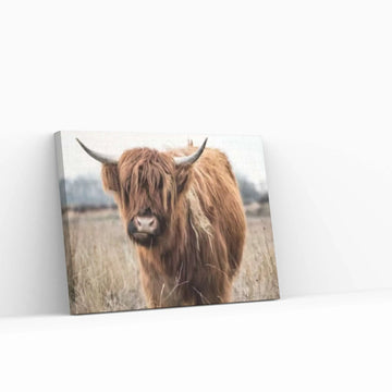 Highland Cow Canvas Art, Highland Cow Print - Y Canvas