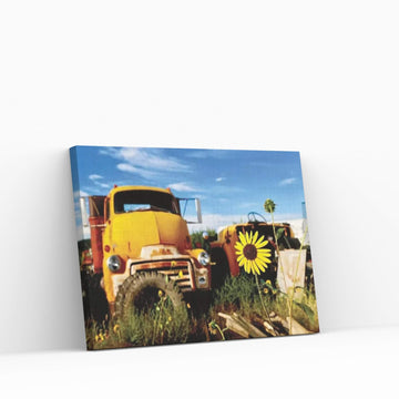 Yellow Daisy With Truck Canvas Wall Art - Y Canvas