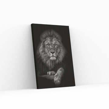 African Lion Canvas Wall Art, black and white lion Canvas Print - Y Canvas