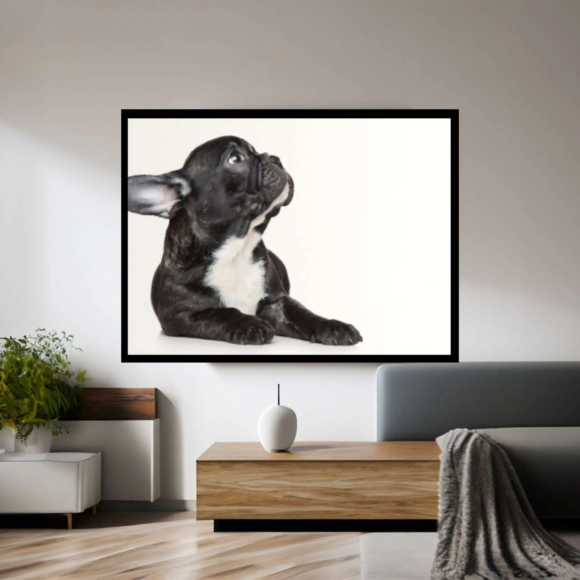 French bulldog black Canvas Wall Art Design Poster Canvas Wall Art - Y Canvas