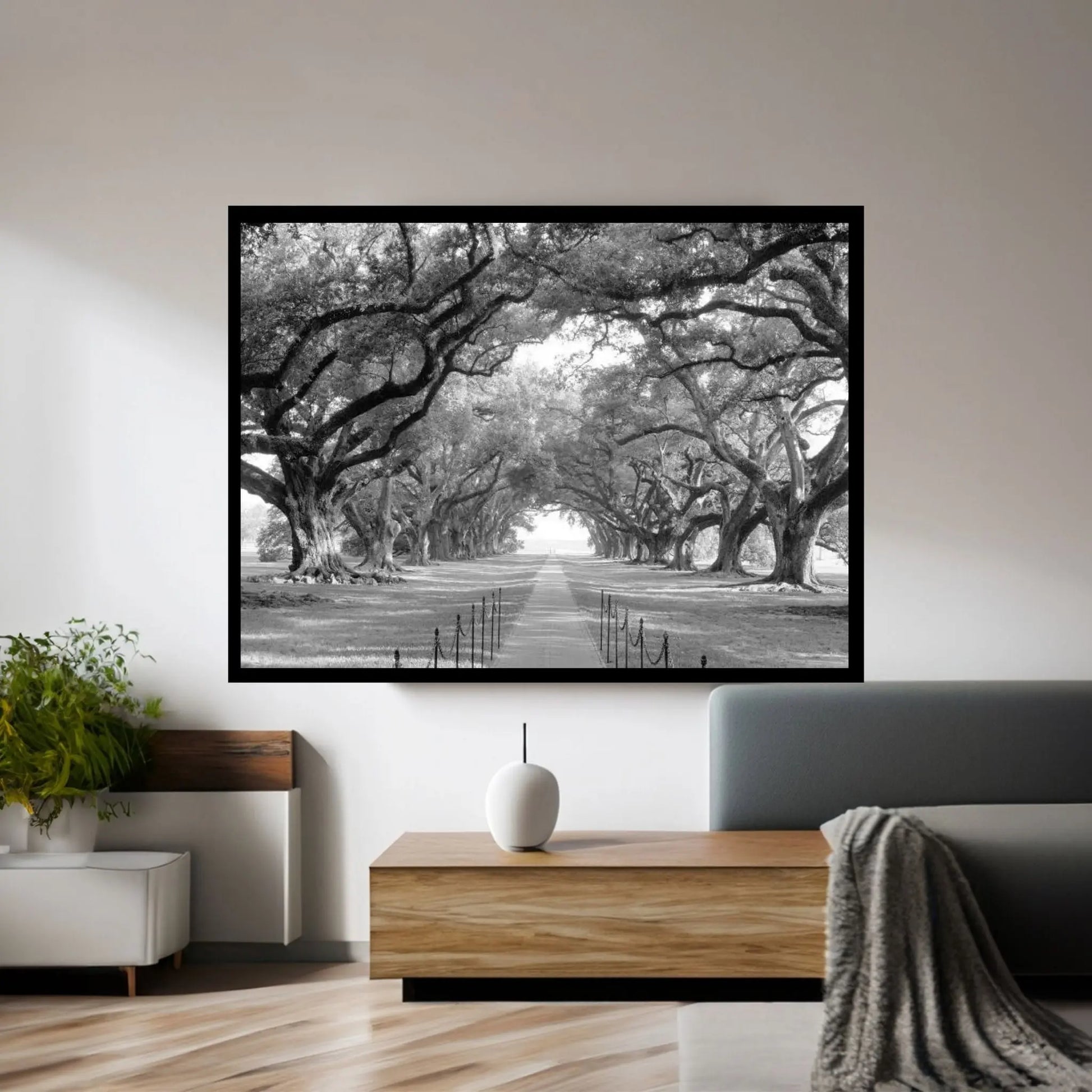 Brick Path Through Alley Of Oak Trees, Louisiana, New Orleans, USA (Black And White) I Canvas Wall Art - Y Canvas