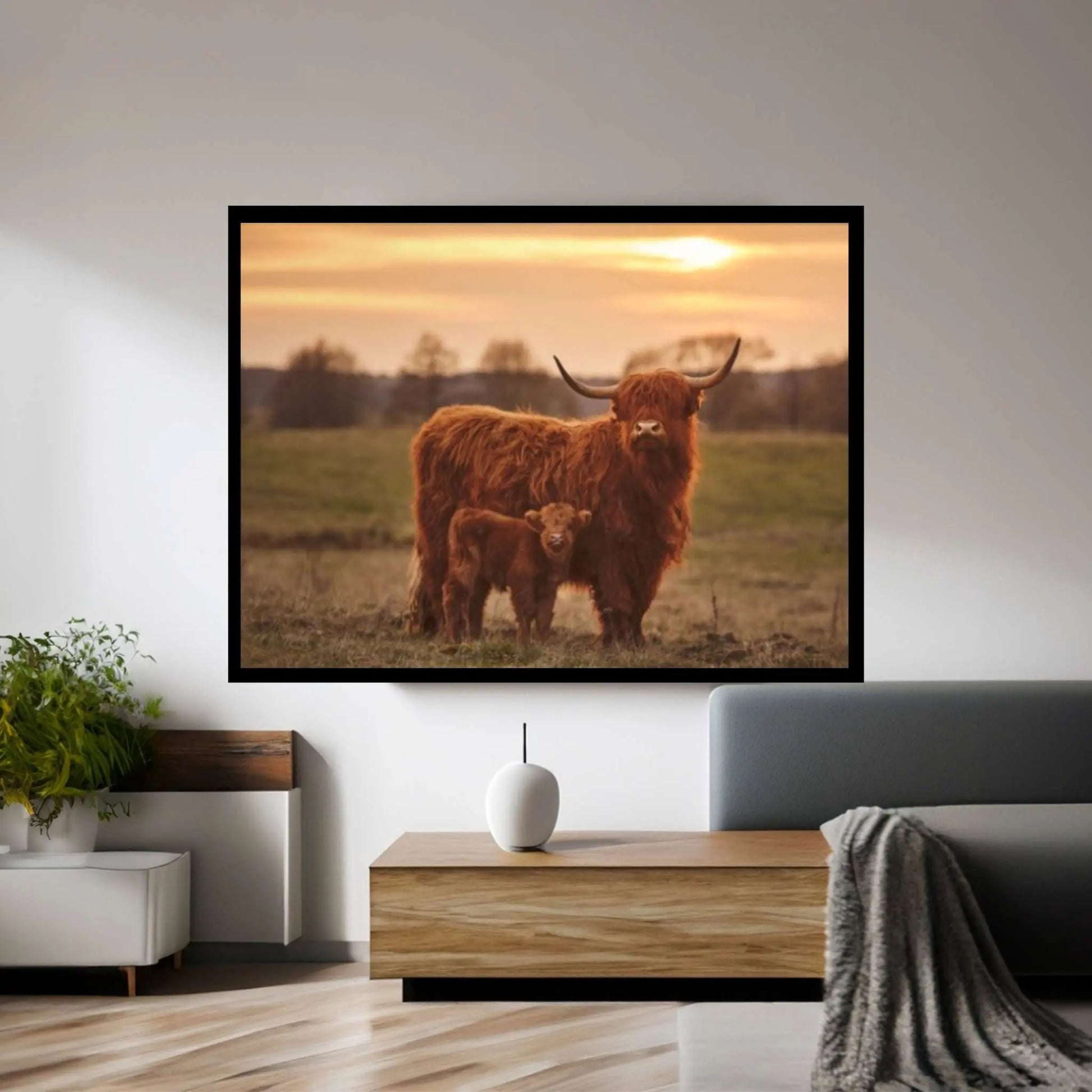 Baby Scottish Highland Cow Canvas Wall Art Design Animal Poster - Y Canvas