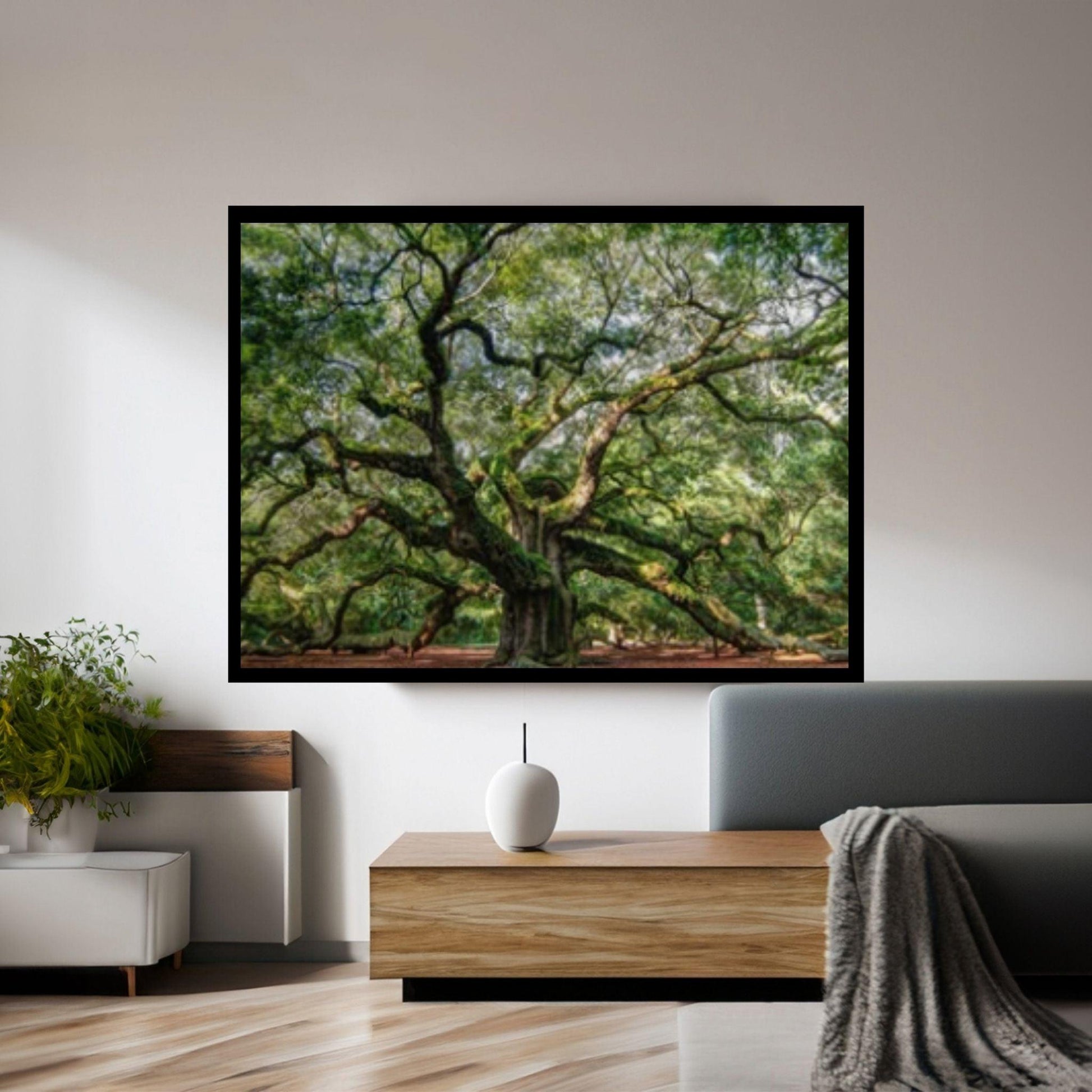 Large Angel Oak Tree South Carolina Canvas Wall Art, Canvas Wall Se Print on Canvas Wall Art - Y Canvas