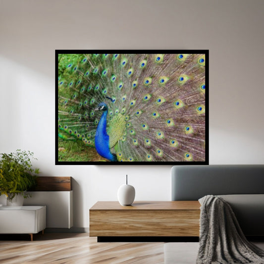 Beautiful Blue Green Peacock Canvas Wall Art - Y Canvas