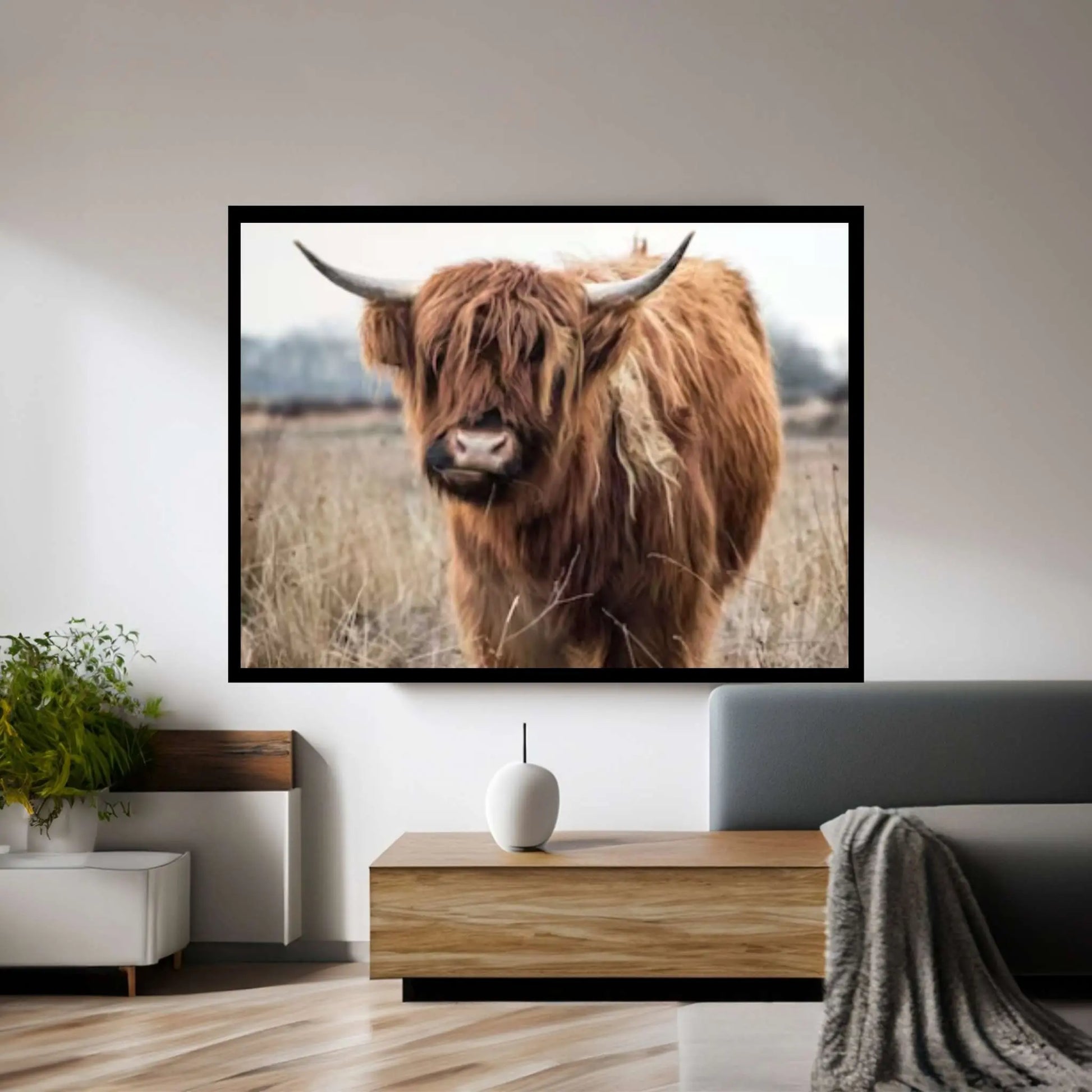 Highland Cow Canvas Art, Highland Cow Print - Y Canvas