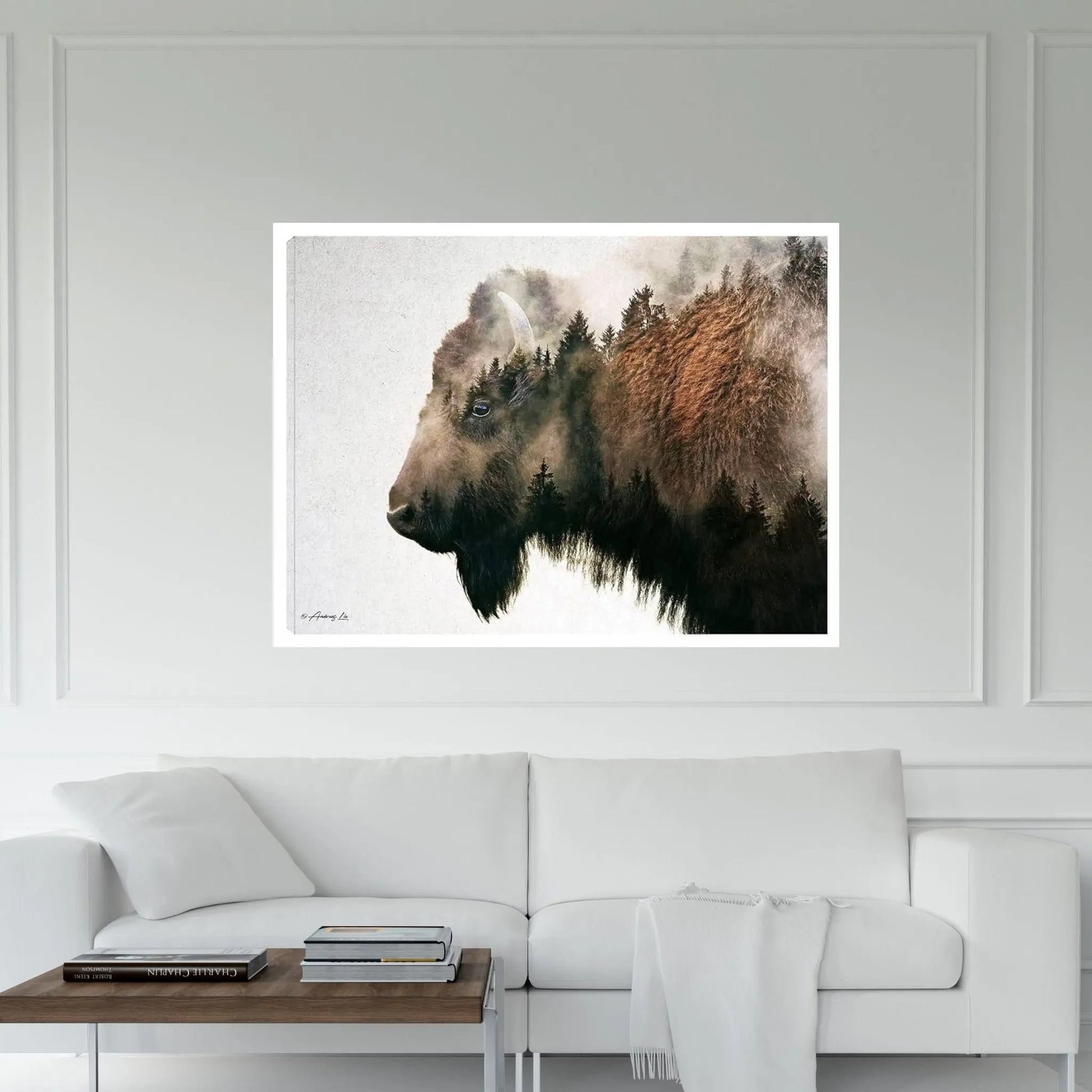 Bison Canvas Wall Art - Y Canvas