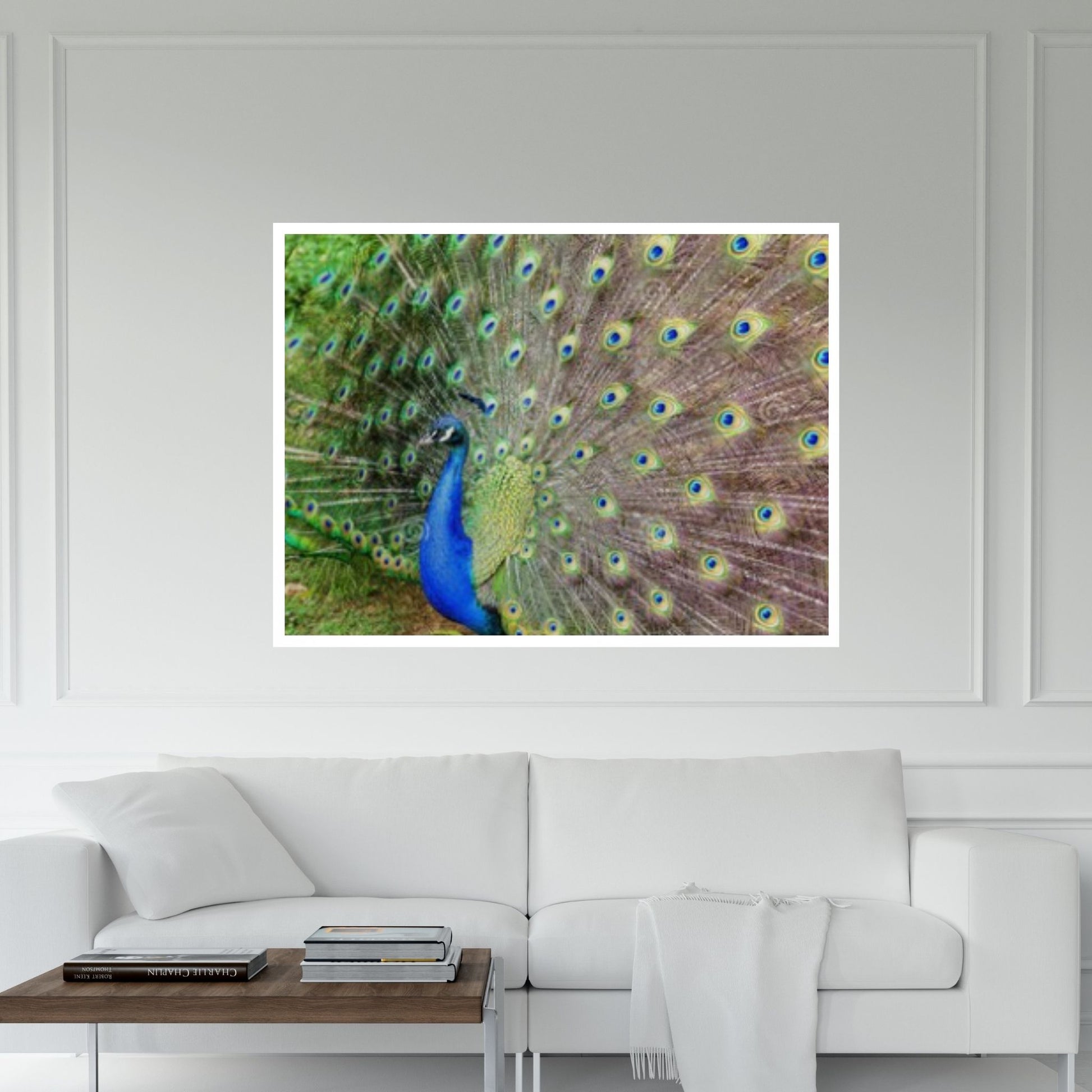 Beautiful Blue Green Peacock Canvas Wall Art - Y Canvas