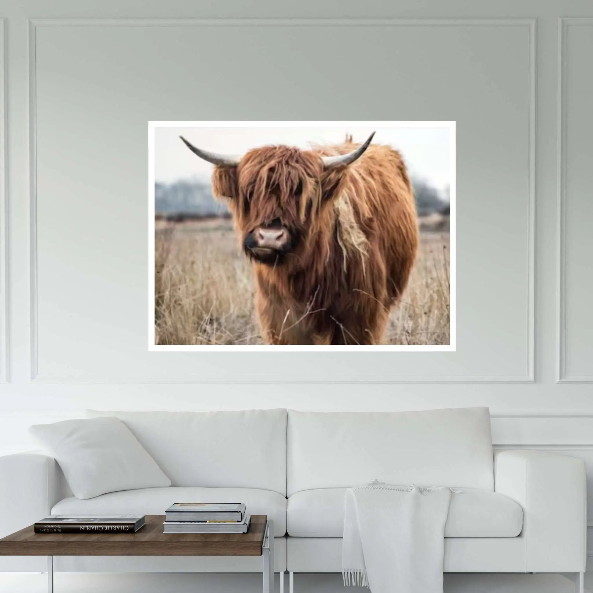 Highland Cow Canvas Art, Highland Cow Print - Y Canvas