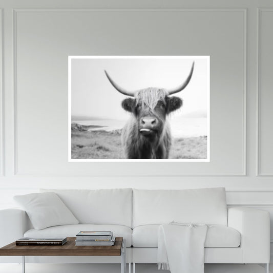 Highland Cow Canvas Wall Art Photo Print, Cattle Farming Print Animal, Highland Cow Canvas Art Print - Y Canvas