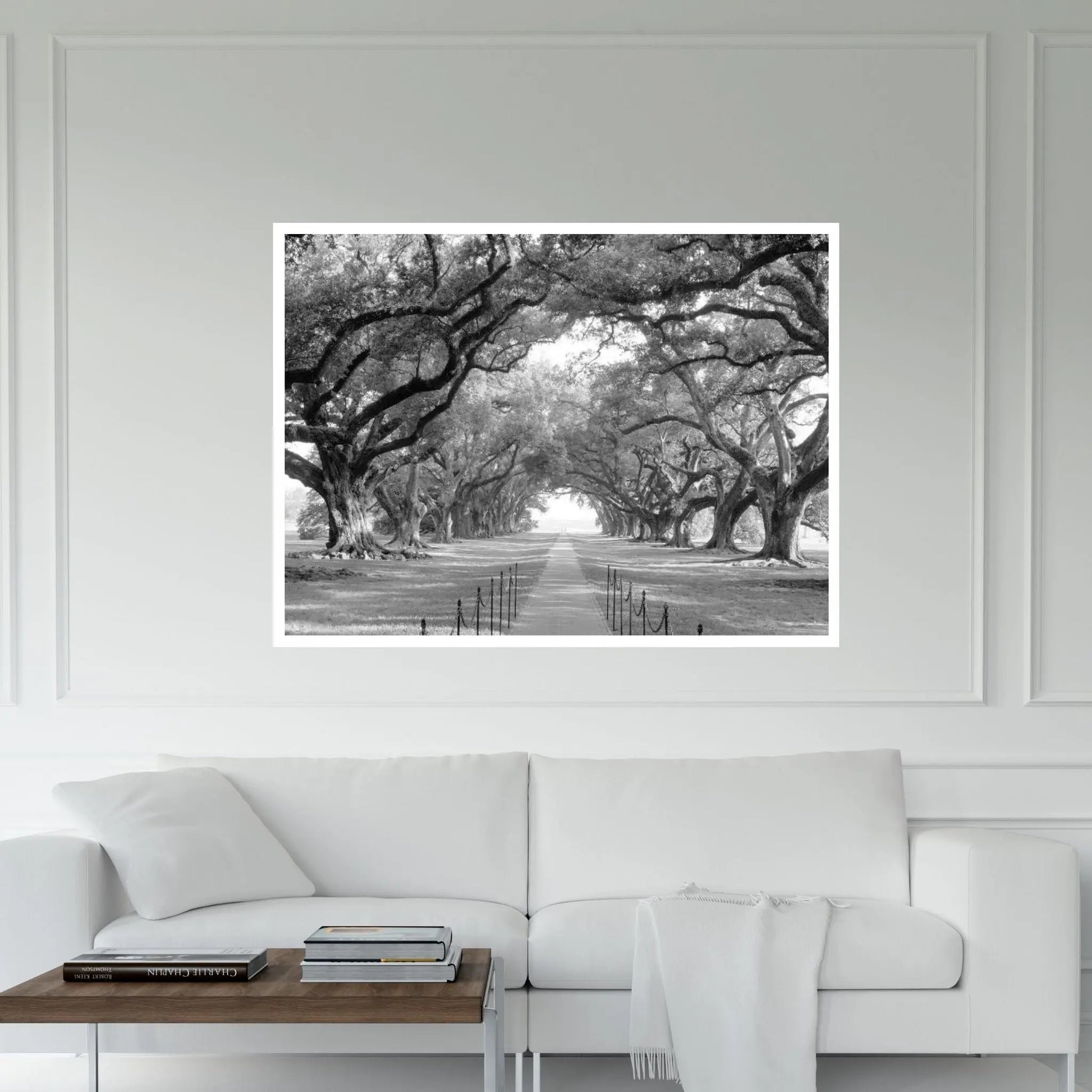 Brick Path Through Alley Of Oak Trees, Louisiana, New Orleans, USA (Black And White) I Canvas Wall Art - Y Canvas