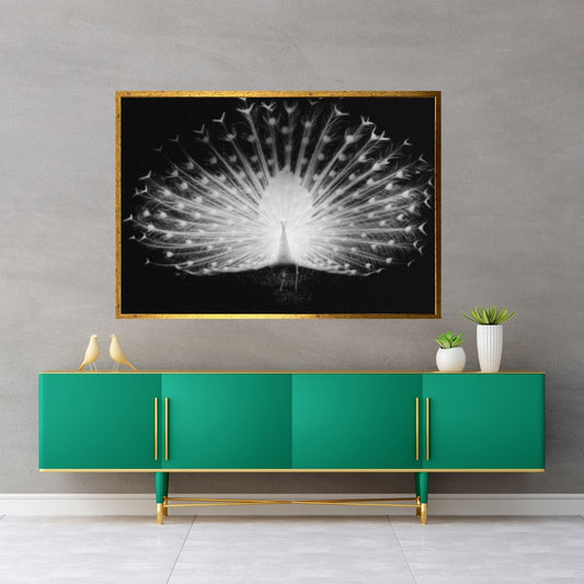 Peacock Black - White on Canvas, Office Decor Wall Art - Y Canvas