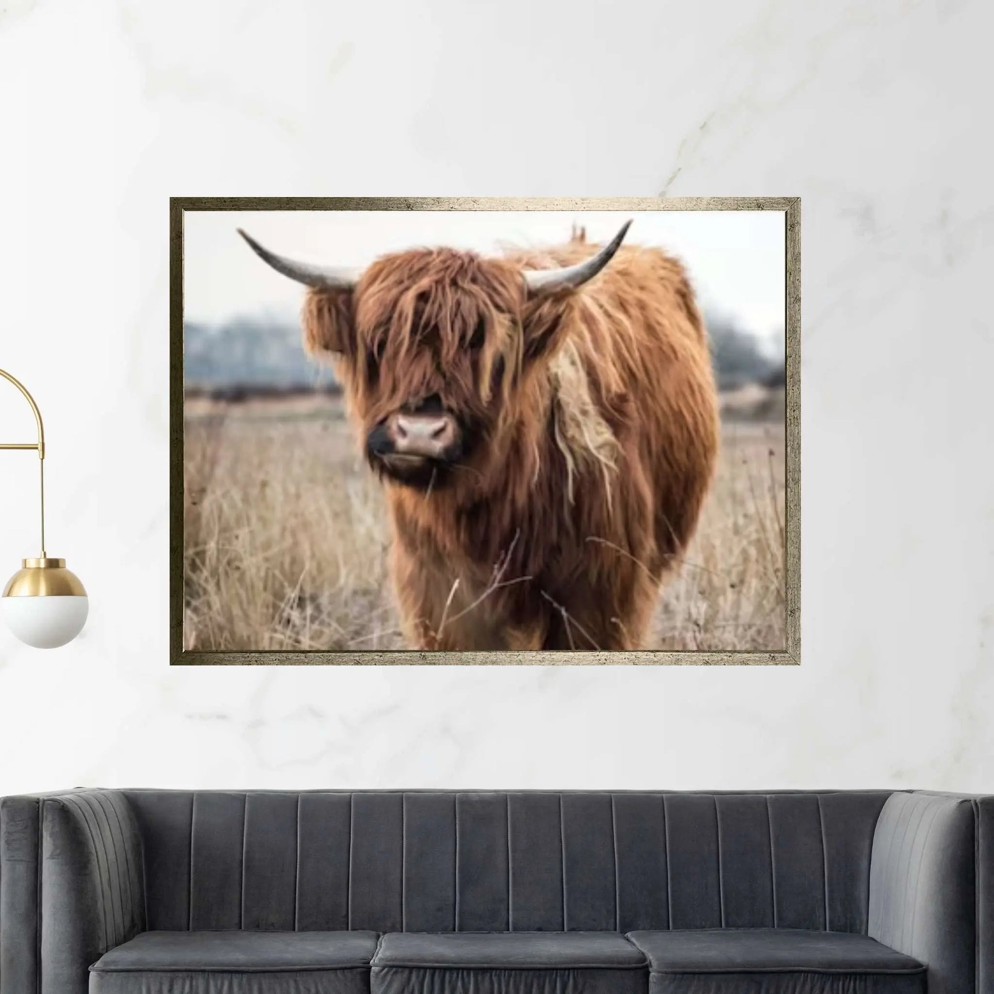 Highland Cow Canvas Art, Highland Cow Print - Y Canvas