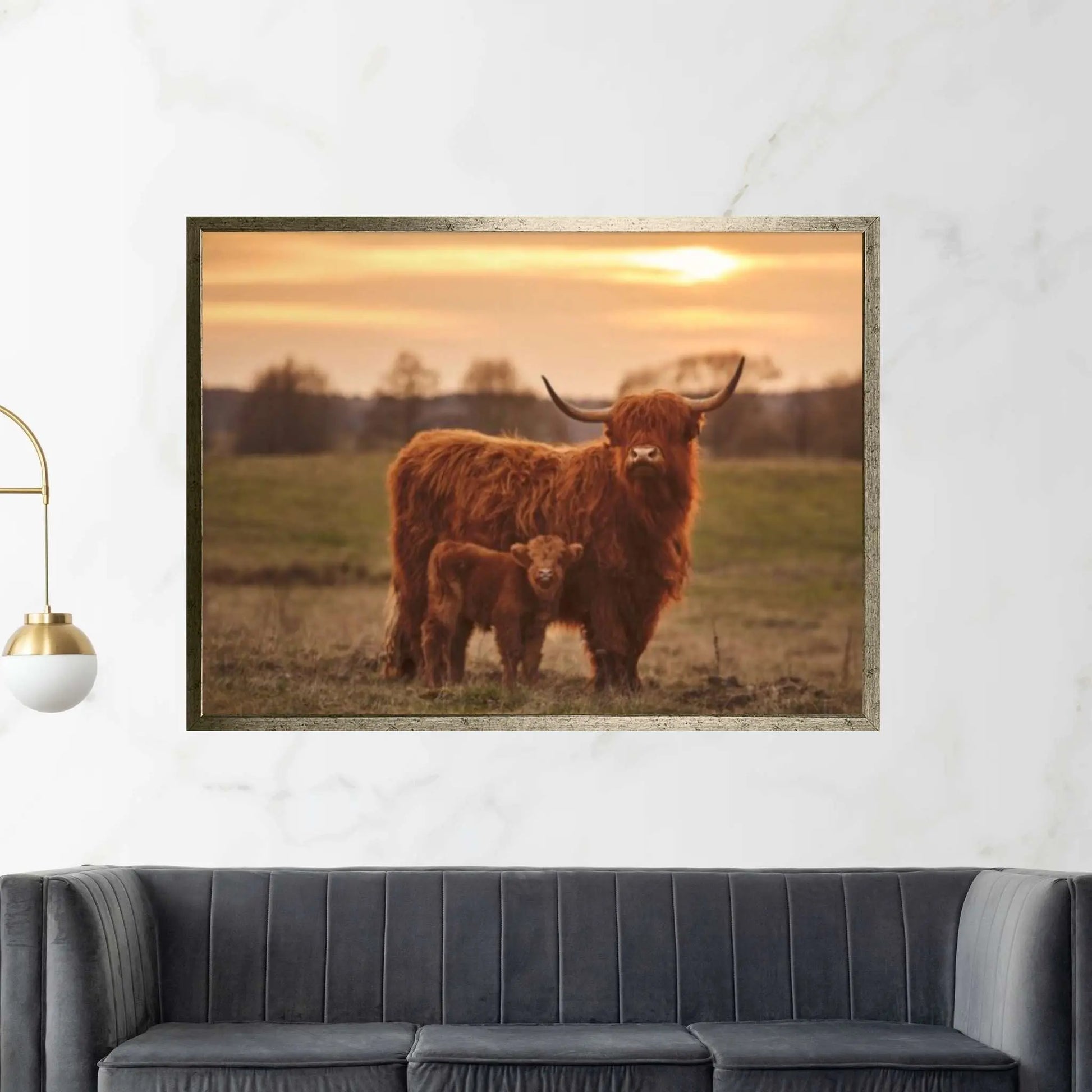 Baby Scottish Highland Cow Canvas Wall Art Design Animal Poster - Y Canvas