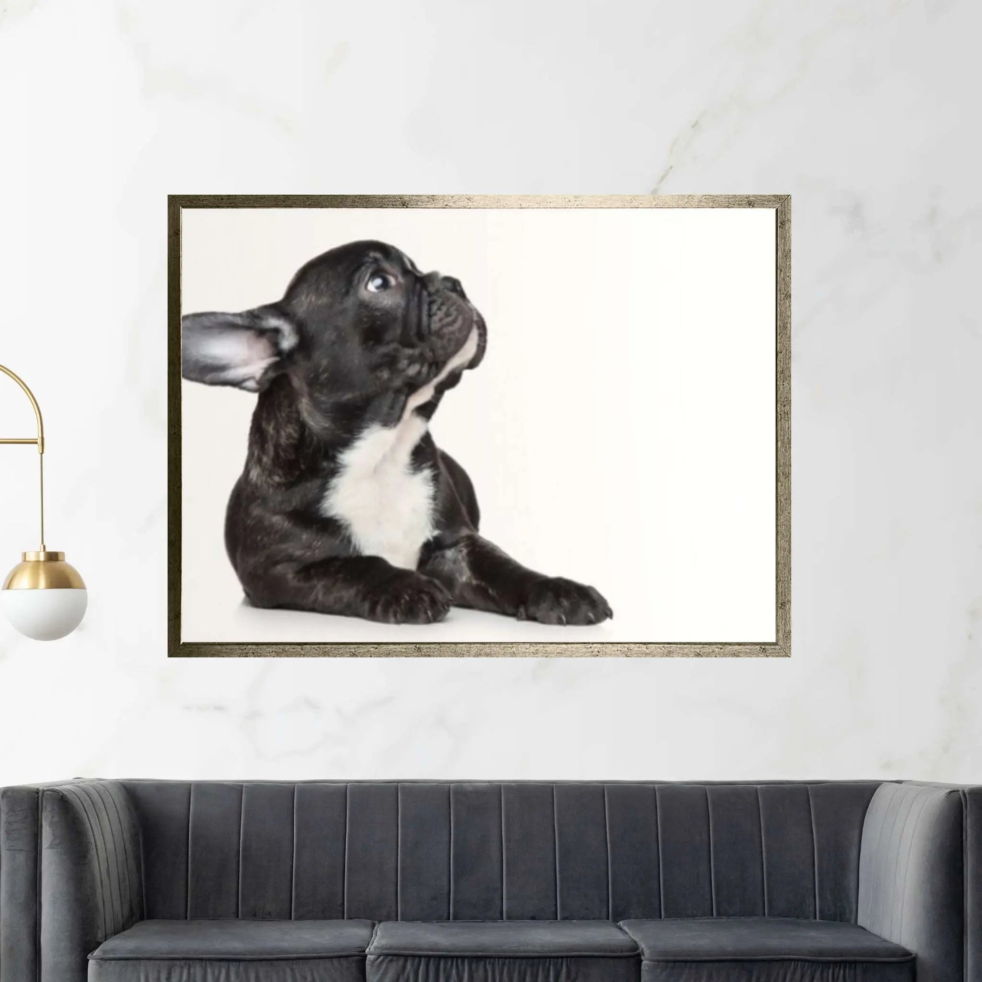 French bulldog black Canvas Wall Art Design Poster Canvas Wall Art - Y Canvas