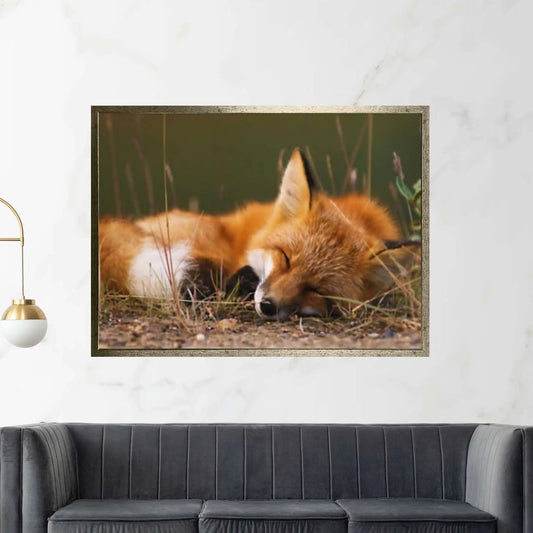 Sleeping fox Canvas Wall Art Design Animal Canvas Wall Art - Y Canvas