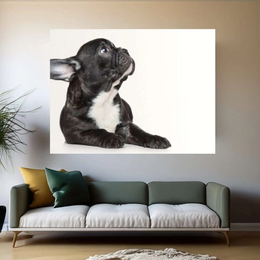 French bulldog black Canvas Wall Art Design Poster Canvas Wall Art - Y Canvas