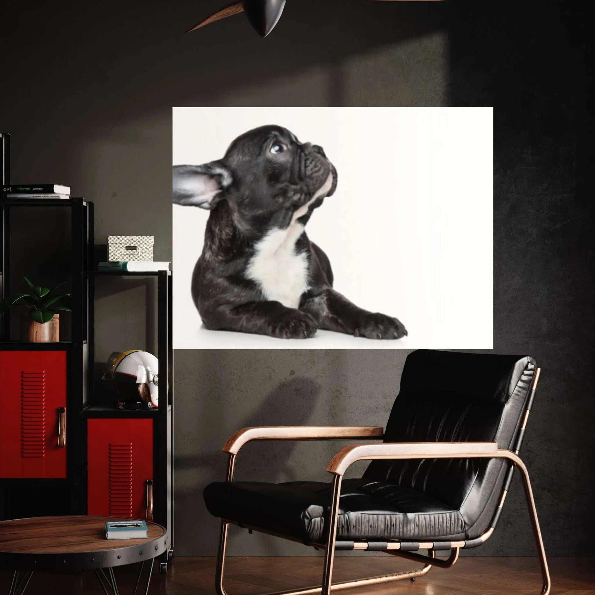 French bulldog black Canvas Wall Art Design Poster Canvas Wall Art - Y Canvas